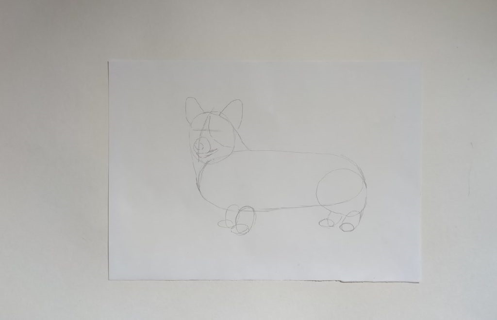 Рисуем Корги