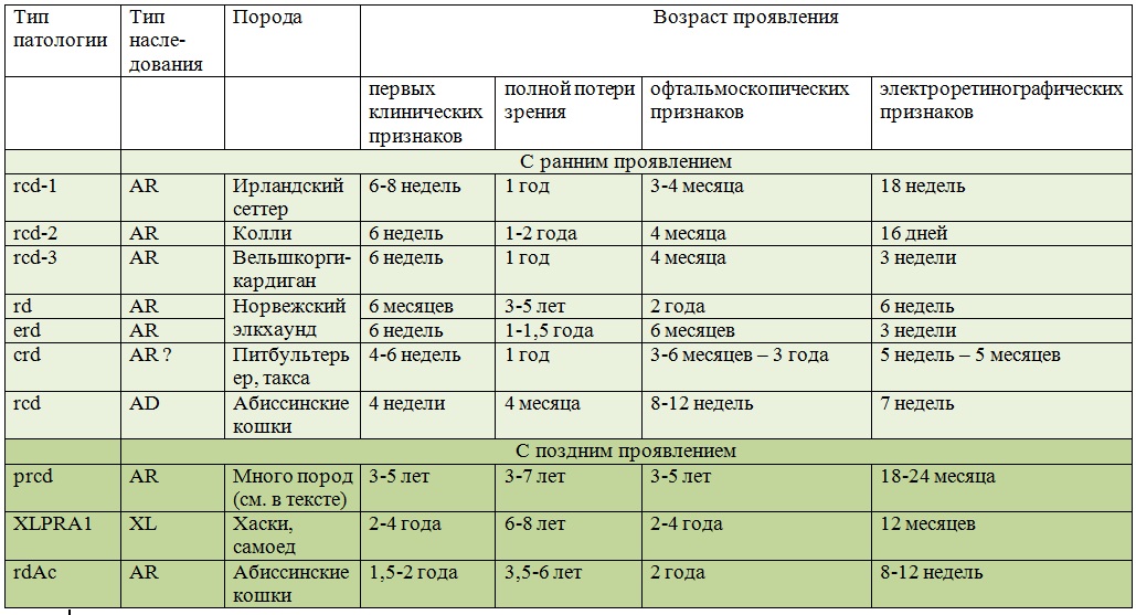 Прогрессирующая атрофия сетчатки rcd3-PRA у собак