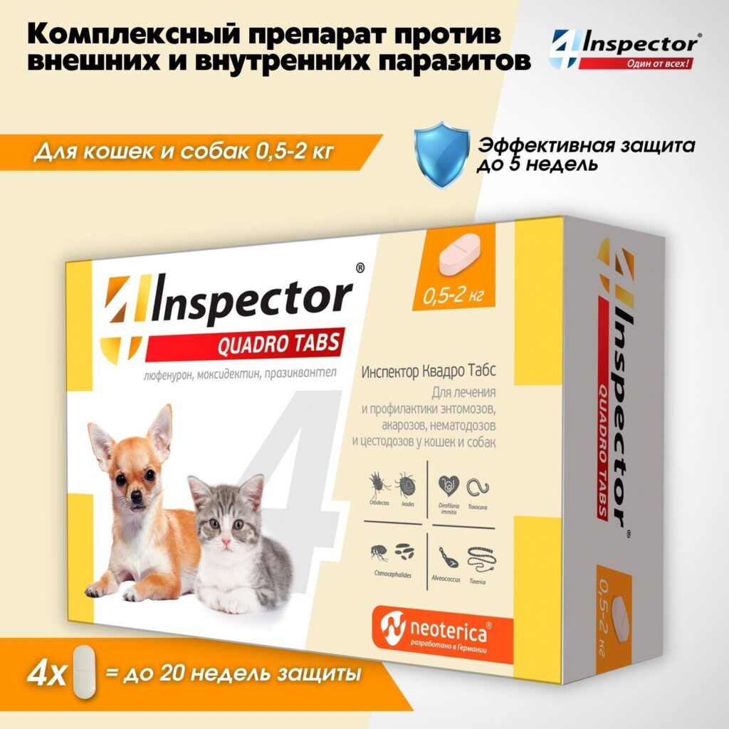 Эффективная защита собак от блох и клещей